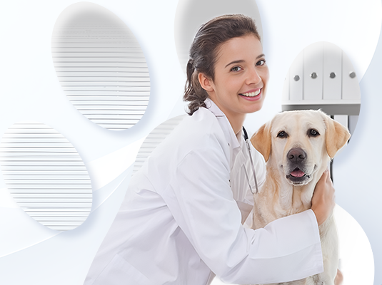 首页| 尊龙(中国集团)官方网站